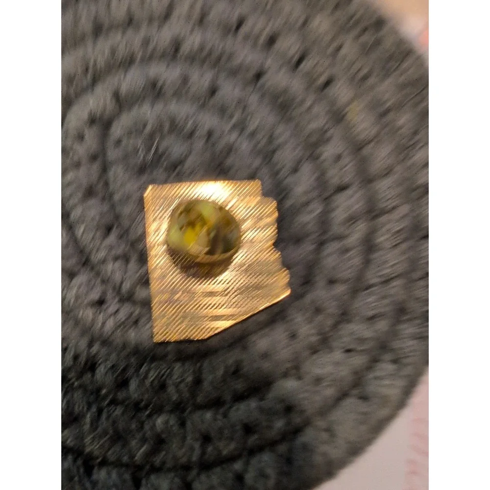 Arizona State Souvenir lapel Hat Pin Button Travel Cactus Sun‎ Cacti Desert